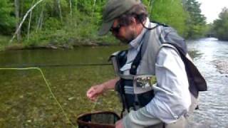 preview picture of video 'Weatherby's: Grand Lake Stream Maine landlocked salmon'