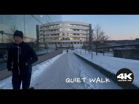 Quiet Walk -10°C Winter Night in Sweden 🇸🇪 | No Talking | 4K