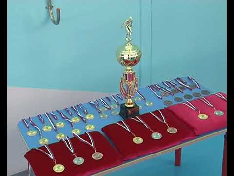 В Курске разыграли &laquo;Кубок дельфина&raquo;
