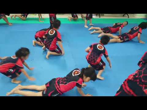 LỚP VÕ MMA TRẺ EM Q10