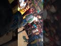 Mumbai Veerapathiran Nadagam