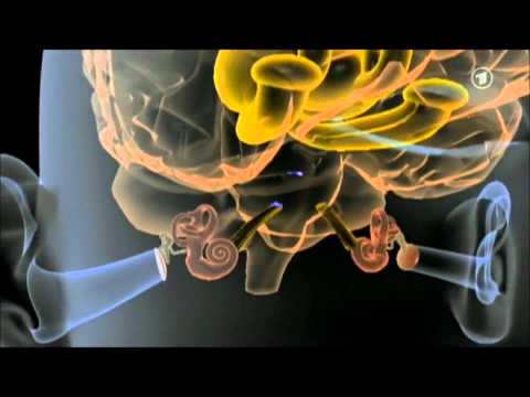 Musiktherapie Tinnitus ARD Buffet 31-03-11