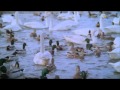 Iceland Travel Deals Visit Iceland