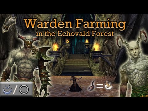 Warden & Warden Horn Farming in Echovald Forest - Guild Wars Dervish Farm D/Any, HM
