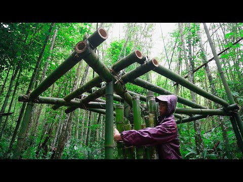 Build a bamboo survival shelter in the wilderness | Bushcraft Bamboo Forest & Heavy Rain EP.1