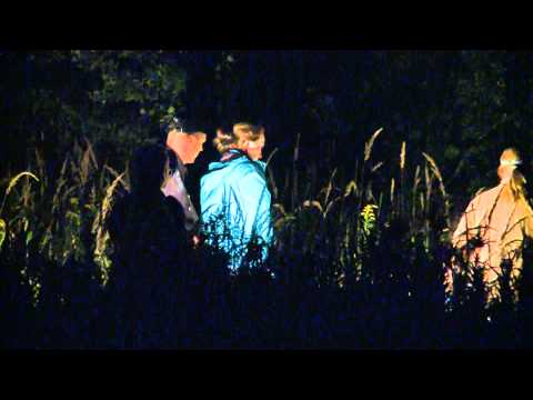 04.09.2015: Leiche in Rostock gefunden: Quadfahrer macht grausame Entdeckung