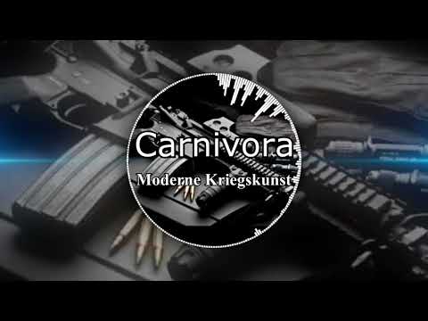 JBT 2017 - Carnivora | QUALIFIKATION [10/16]