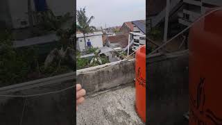 Download lagu Latih parkit Australia free flying|train cockatiel how to free flying #shorts #freeflight #cockatiel mp3 Download lagu Latih parkit Australia free flying|train cockatiel how to free flying #shorts #freeflight #cockatiel mp3