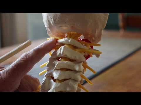 Cervical Correction – C1 Cranial Technique