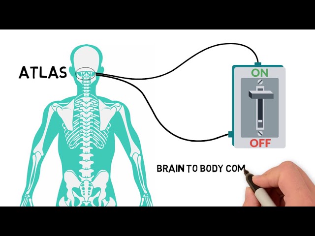 Upper Cervical Care in Edmonton, AB