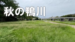秋の鴨川【荒神橋付近】（2025年9月23日）