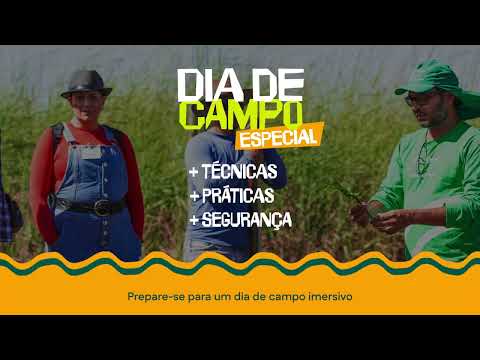 Forrageiras para o Semiárido: alimento para o rebanho mesmo na seca