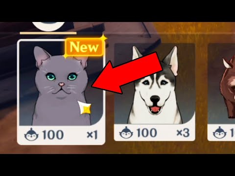 Farm Pets in Open World! Secret Mechanic Only 0.001% of Players Know | Genshin Impact