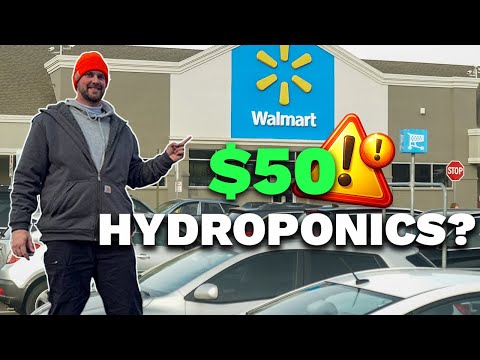 Can I Build a Hydroponic System for $50 at Walmart?