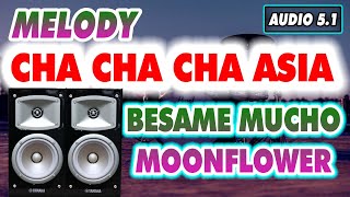 Download lagu LK Cha Cha Cha ASIA HÒA TẤU Besame Mucho - Moonflower Âm Thanh Nổi 5.1 mp3 Download lagu LK Cha Cha Cha ASIA HÒA TẤU Besame Mucho - Moonflower Âm Thanh Nổi 5.1 mp3