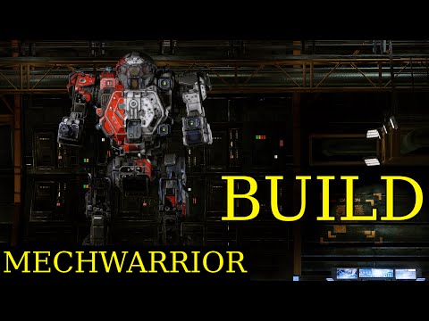 MWO Build - Enforcer 5D with Gauss