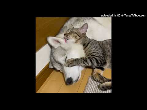 free hardrock type beat 191024