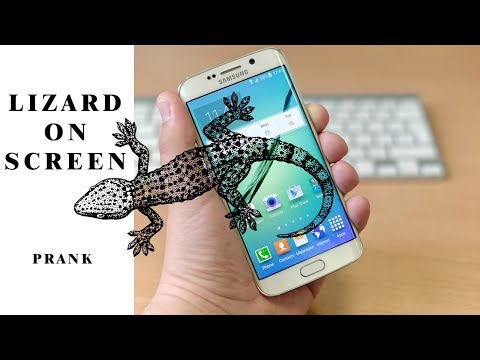 Lizard On Screen Prank