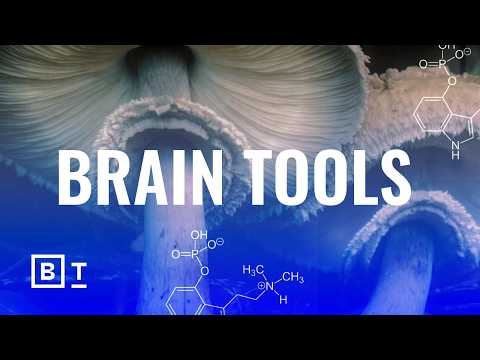 三位專家揭示迷幻藥如何拓展感知之牆 (3 experts reveal how psychedelics can expand the walls of perception)