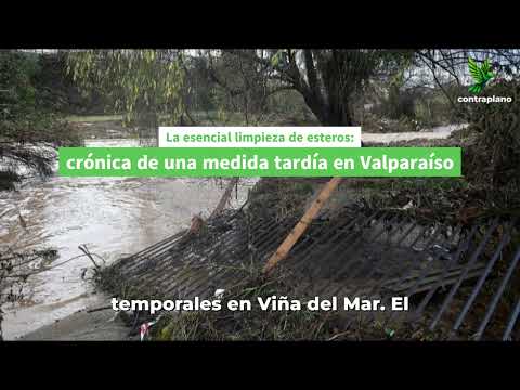 La esencial limpieza de esteros: crónica de una medida tardía en Valparaíso