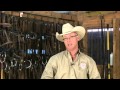 How To Deal With Colic In Horses