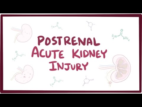 Postrenal acute kidney injury (acute renal failure) - causes, symptoms, & pathology