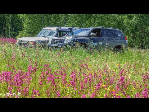 Maršrutas visureigiams Žemaitijos žiedas Nr.52