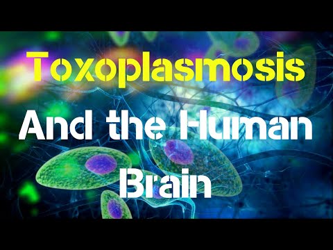 a toxoplazma megöli