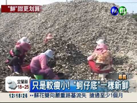 外觀不佳一樣鮮! "蚵仔底"很搶手