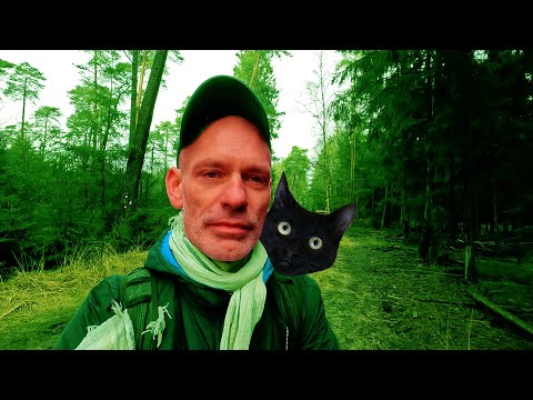 223km Heidschnuckenweg | Etappe 2 – von Buchholz i.d. Nordheide nach Handeloh | Ja, Spazierengehen!