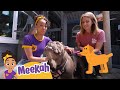 Meekah Visits An Animal Shelter Kids Videos Animals For Kids Blippi Meekah Kids TV Shows
