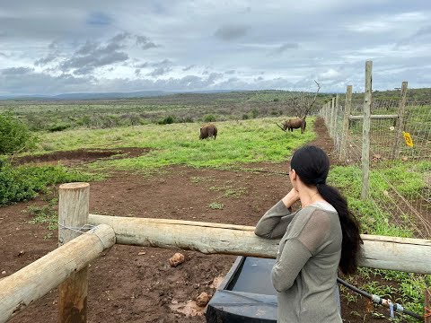 Direktion des Circus Krone besucht adoptierte Nashorn-Babys in Südafrika!