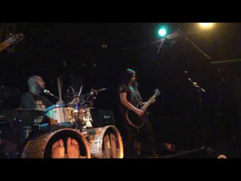 Dead but Fancy - Alligator Facts - 2016-11-17