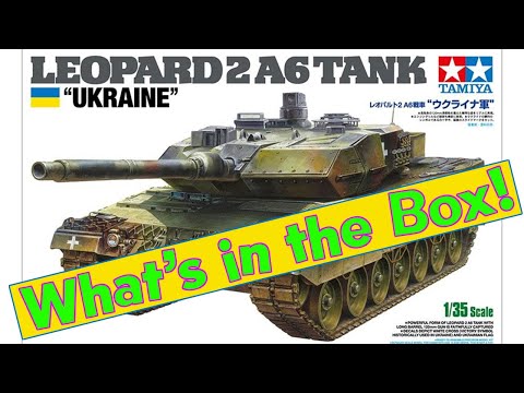 CBD for Cats Video Preview