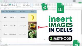 Download the video "How to Insert Image in Excel Cell (correctly)"