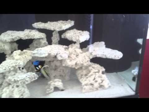 How to Aquascape a reef aquarium