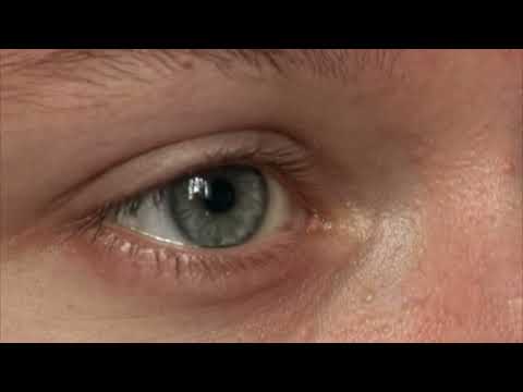 afbeelding How to Save a Dead Friend