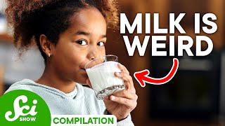 Mammals, Mutants, and… Roaches: The Science of Milk