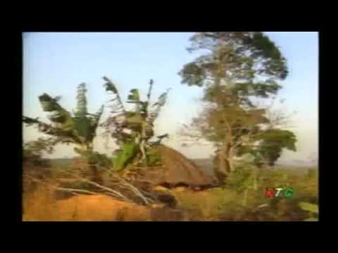 Bah Sadio - Dyeere Lele