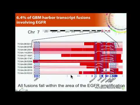 TCGA: The Somatic Genomic Landscape of Glioblastoma Multiforme - Roel Verhaak