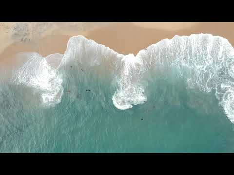 Teia Documenta — DroneReel