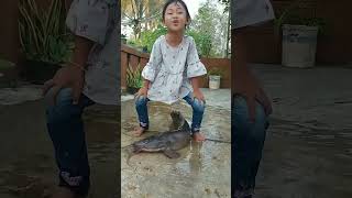 Download lagu ikan lele jumbo #ikanlele #ikan #lucu #shorts mp3 Download lagu ikan lele jumbo #ikanlele #ikan #lucu #shorts mp3