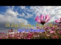 A Little Travelling Music, Please - Barry Manilow
