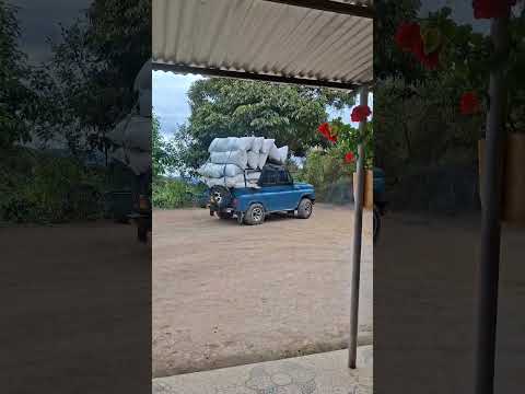 asi salen dos uaz cargados de café hacia Aipe Huila #campo #café #uaz