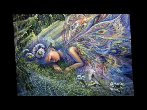 Travis Warren ~"Scandalnavia"~