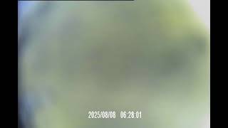 Download lagu MOVI0012 apart1 mp3 Download lagu MOVI0012 apart1 mp3