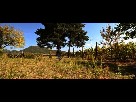 Ethnofil - Időfűszál (Official Music Video)