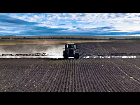 BIG BRUTE VS Canadian Thistle... and House Updates!