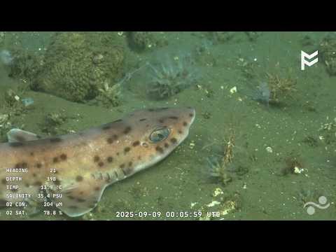 RESUMEN SUB200 - José Ignacio - Maldonado / La Paloma - Rocha