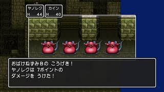 王女が元に戻らない？！そして2人で風の塔を攻略！【ドラクエⅡ〜悪霊の神々〜】